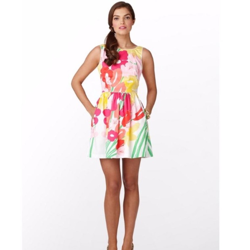 Lilly Pulitzer Lavish Lilly's Aleena Dress Sz. 0